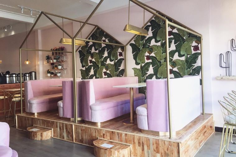 The Puppy Sapa - Sapa 